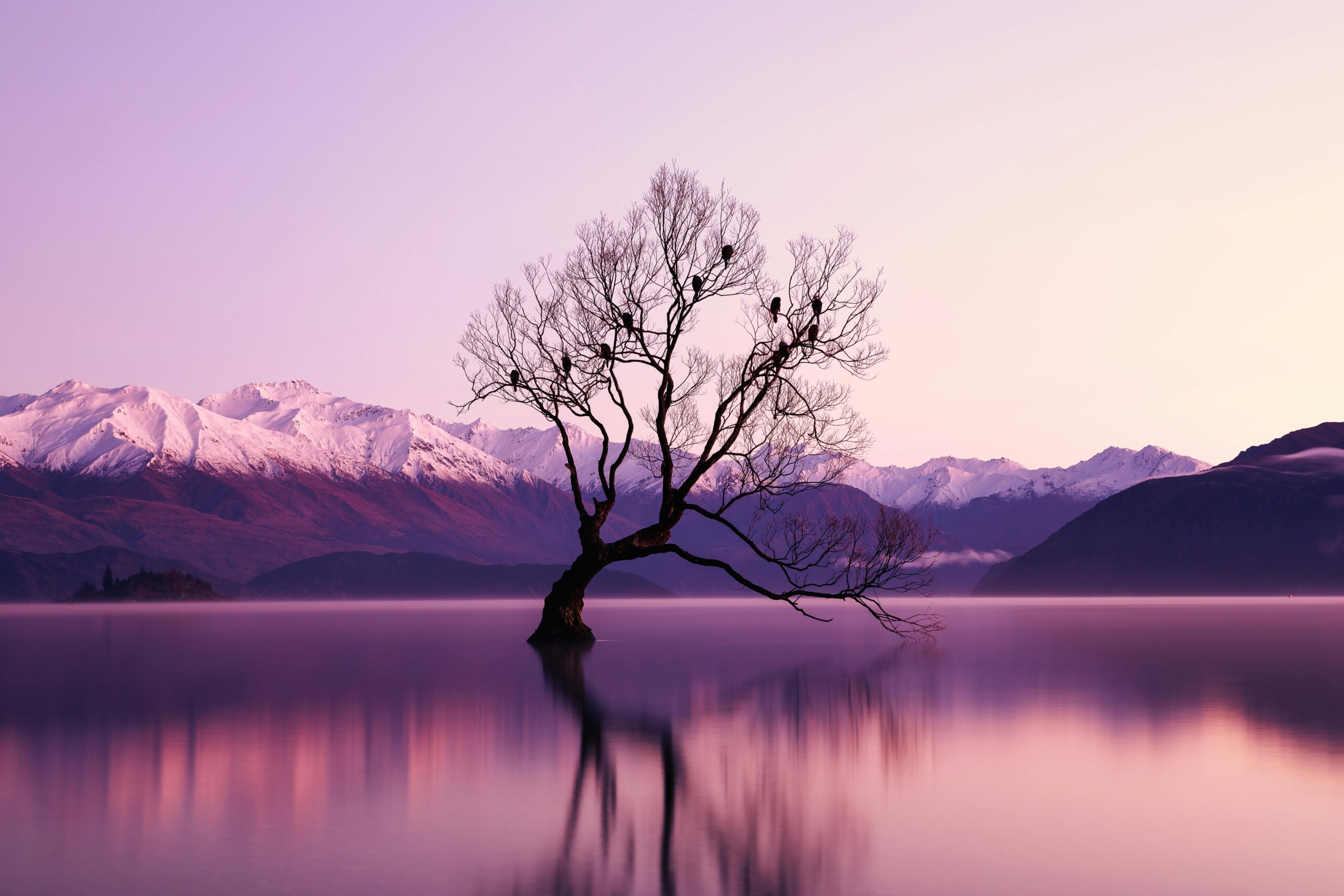 Round The World Flights New Zealand