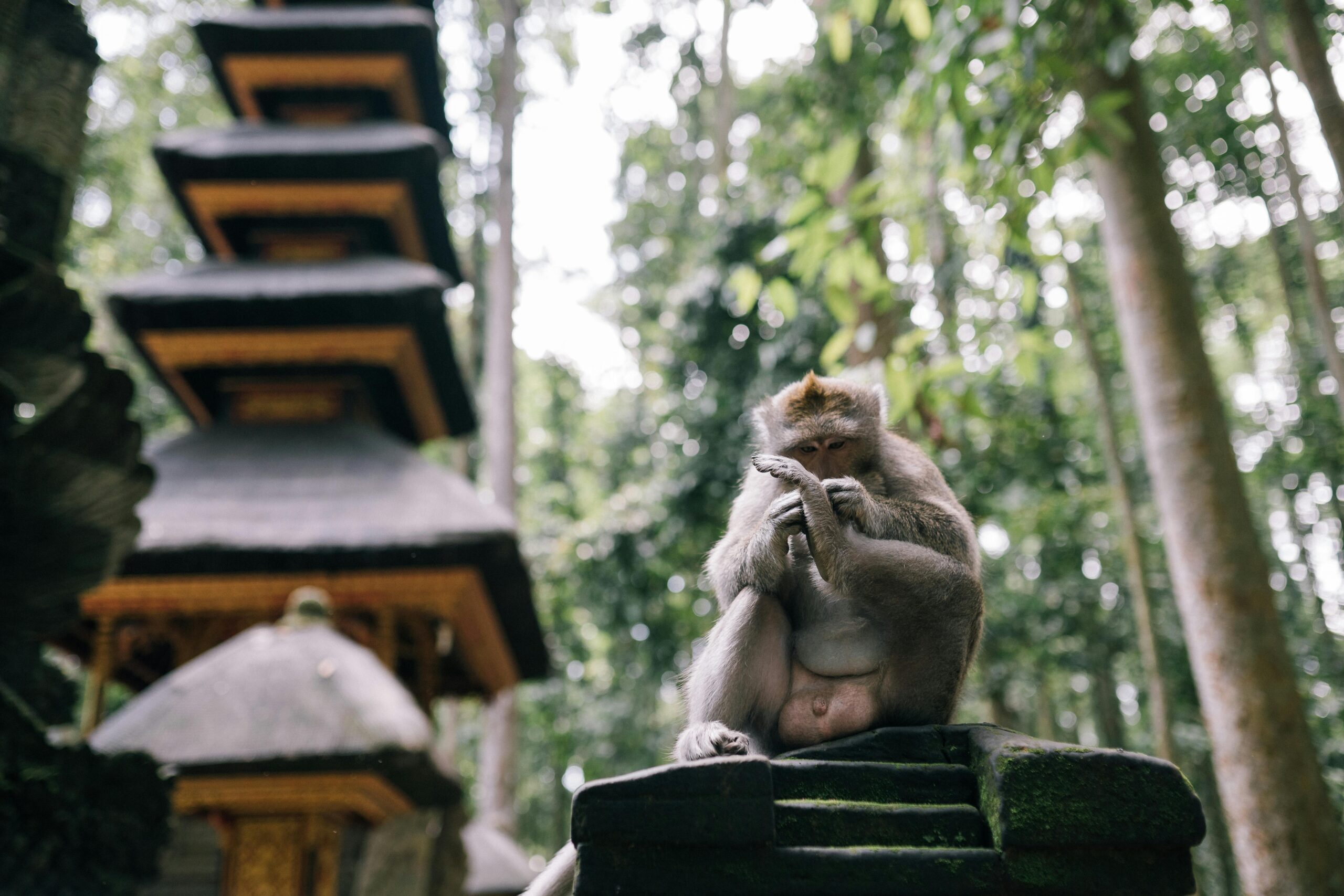 Round The World Flights Bali Indonesia