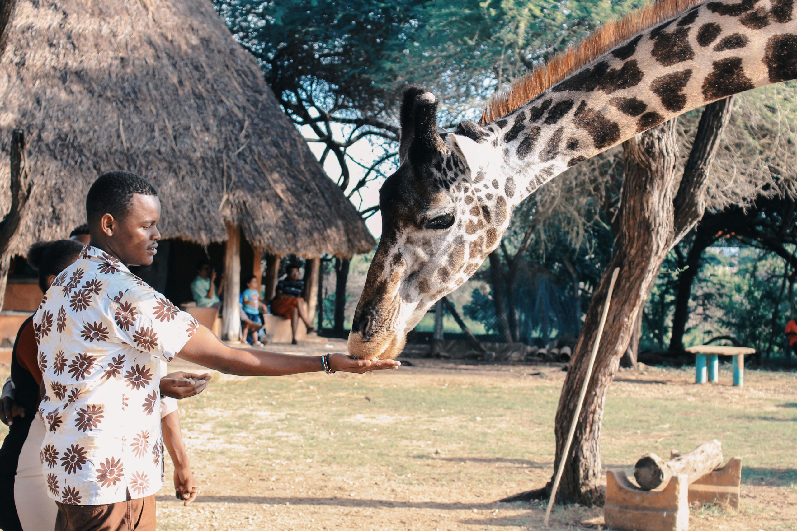 Round The World Flights Nairobi