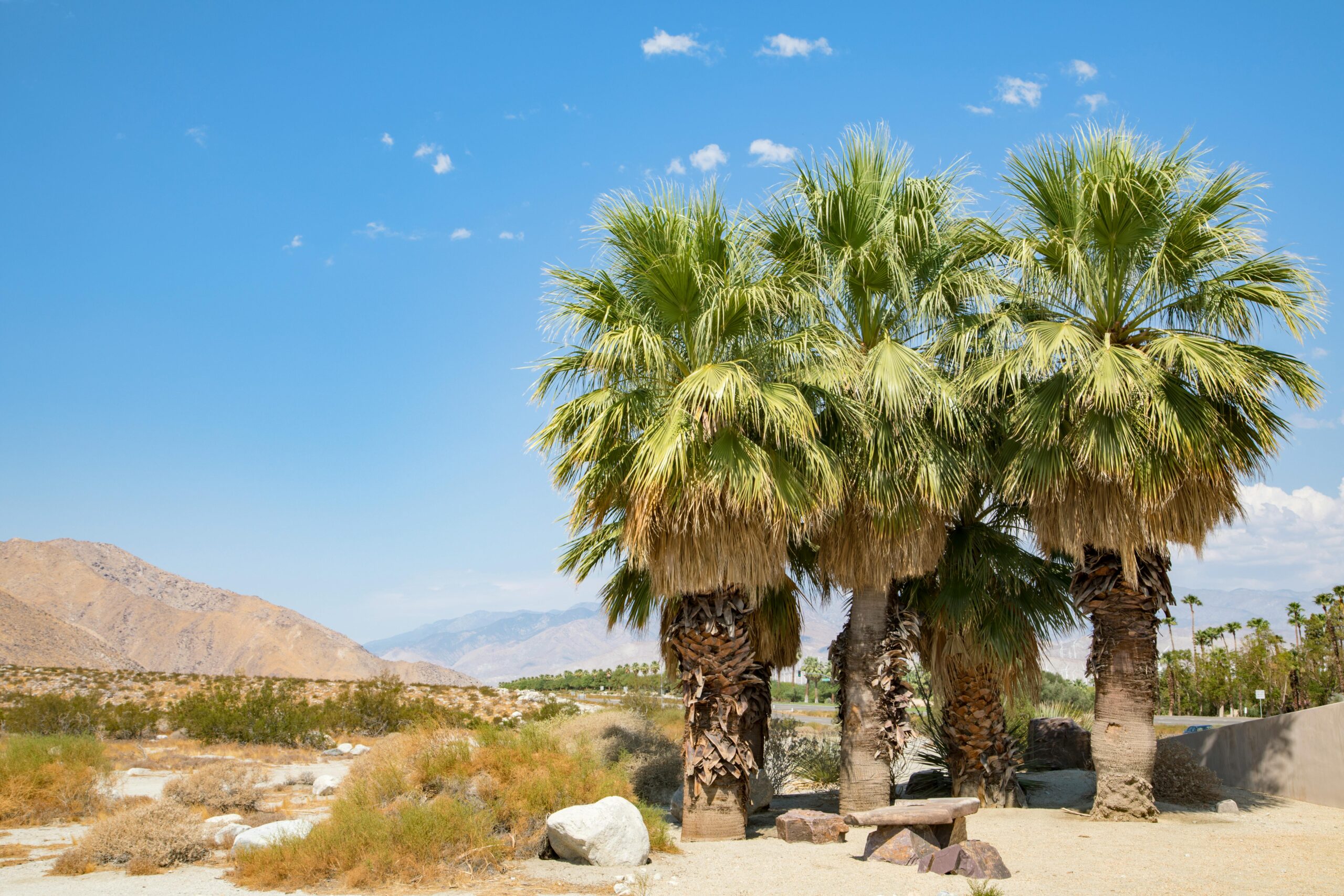 Round The World Flights Palm Springs California