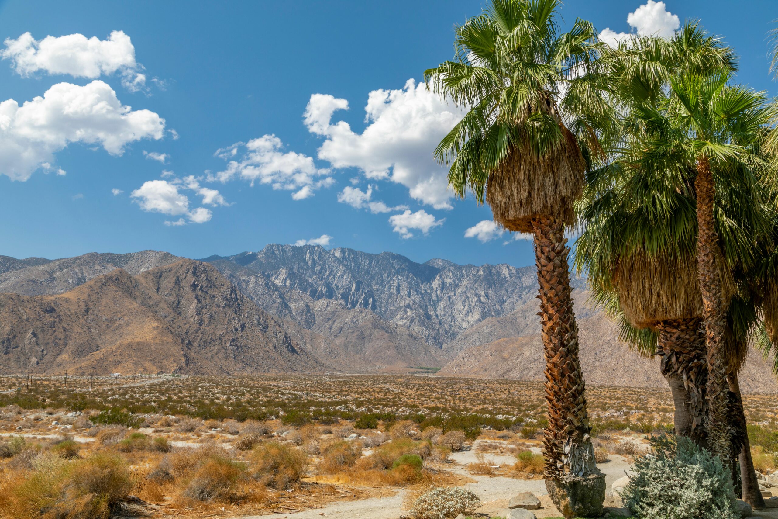 Round The World Flights Palm Springs