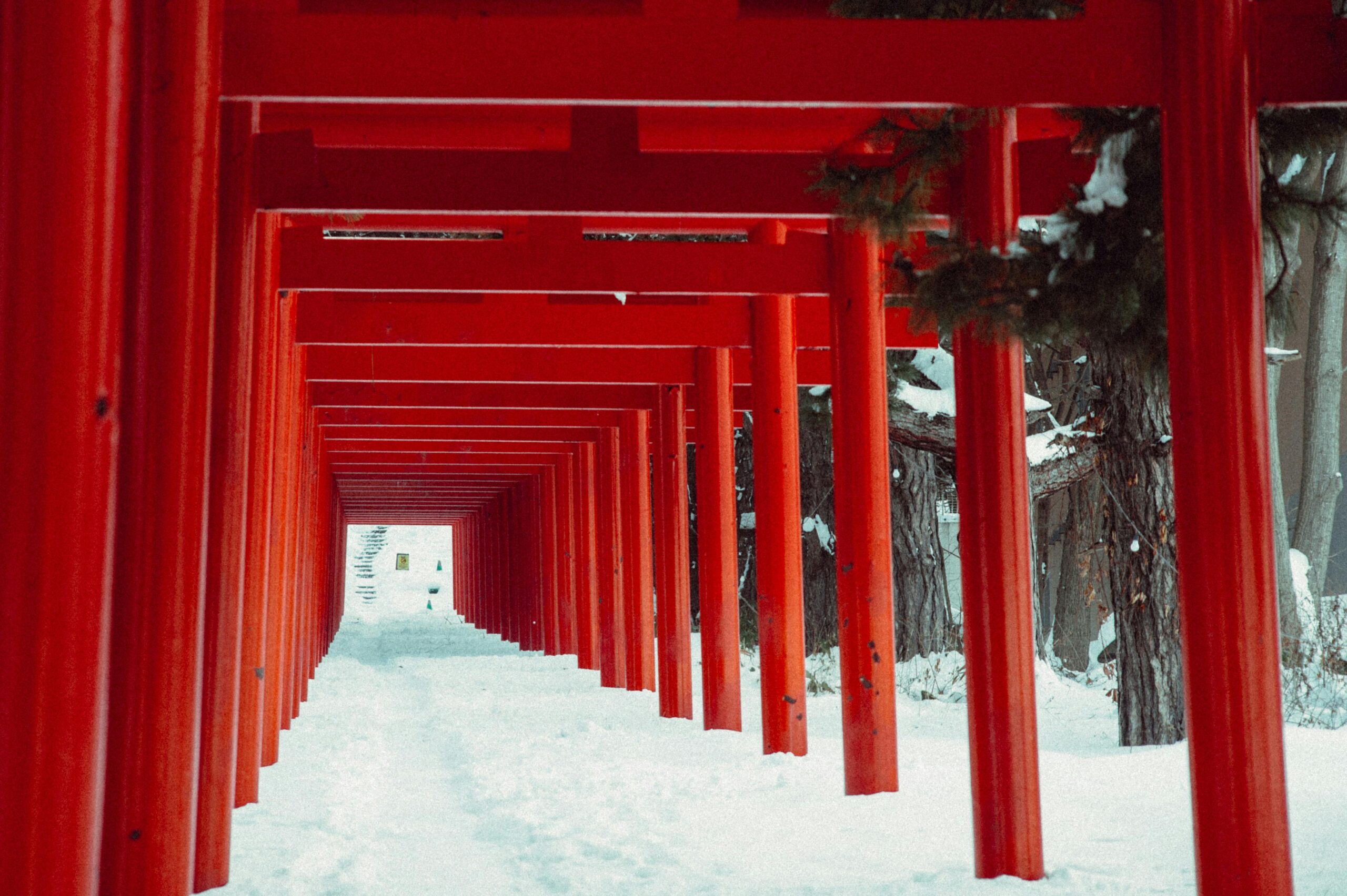 Round The World Flights Sapporo