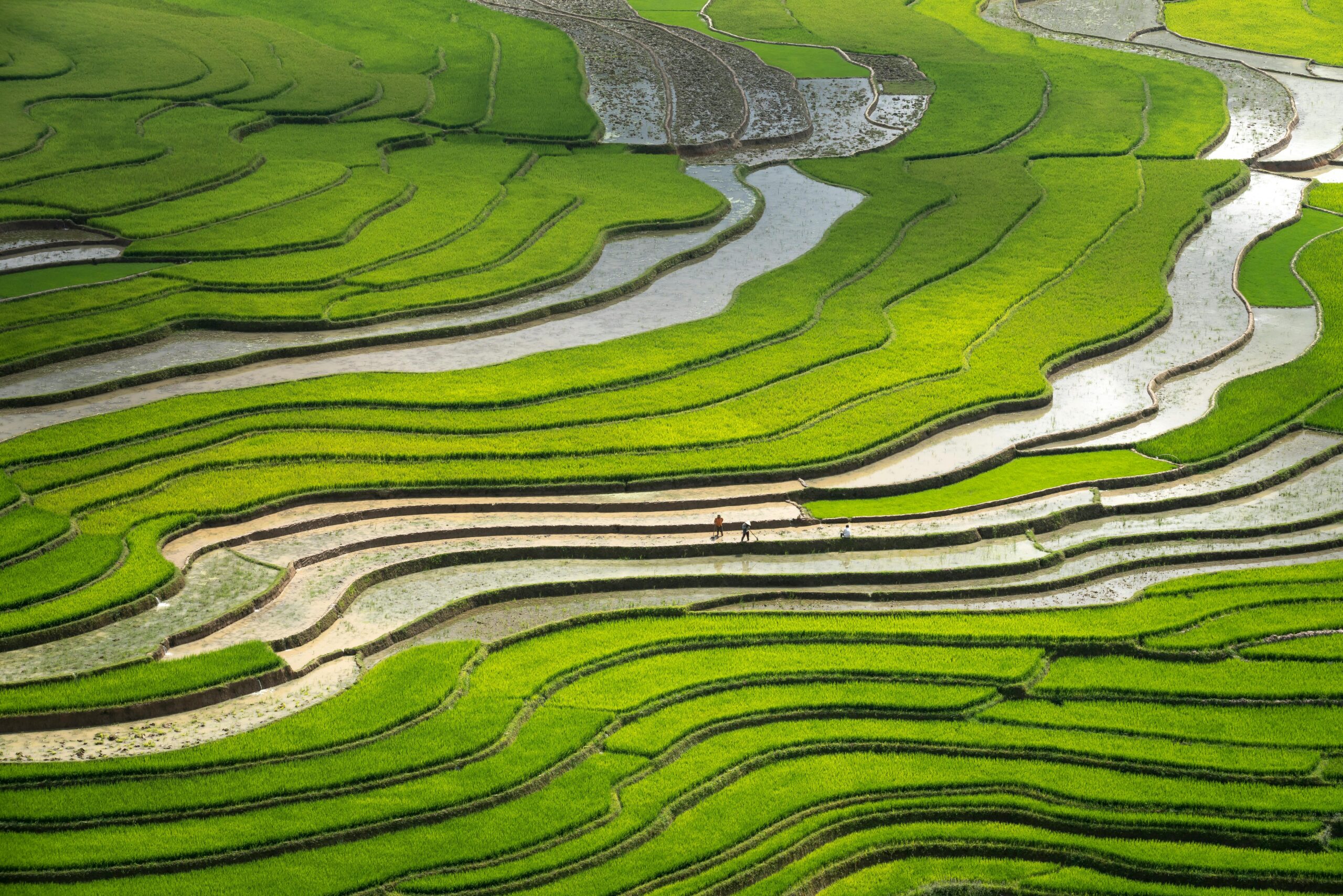 DPSyyh Round The World Flights Ubud Bali