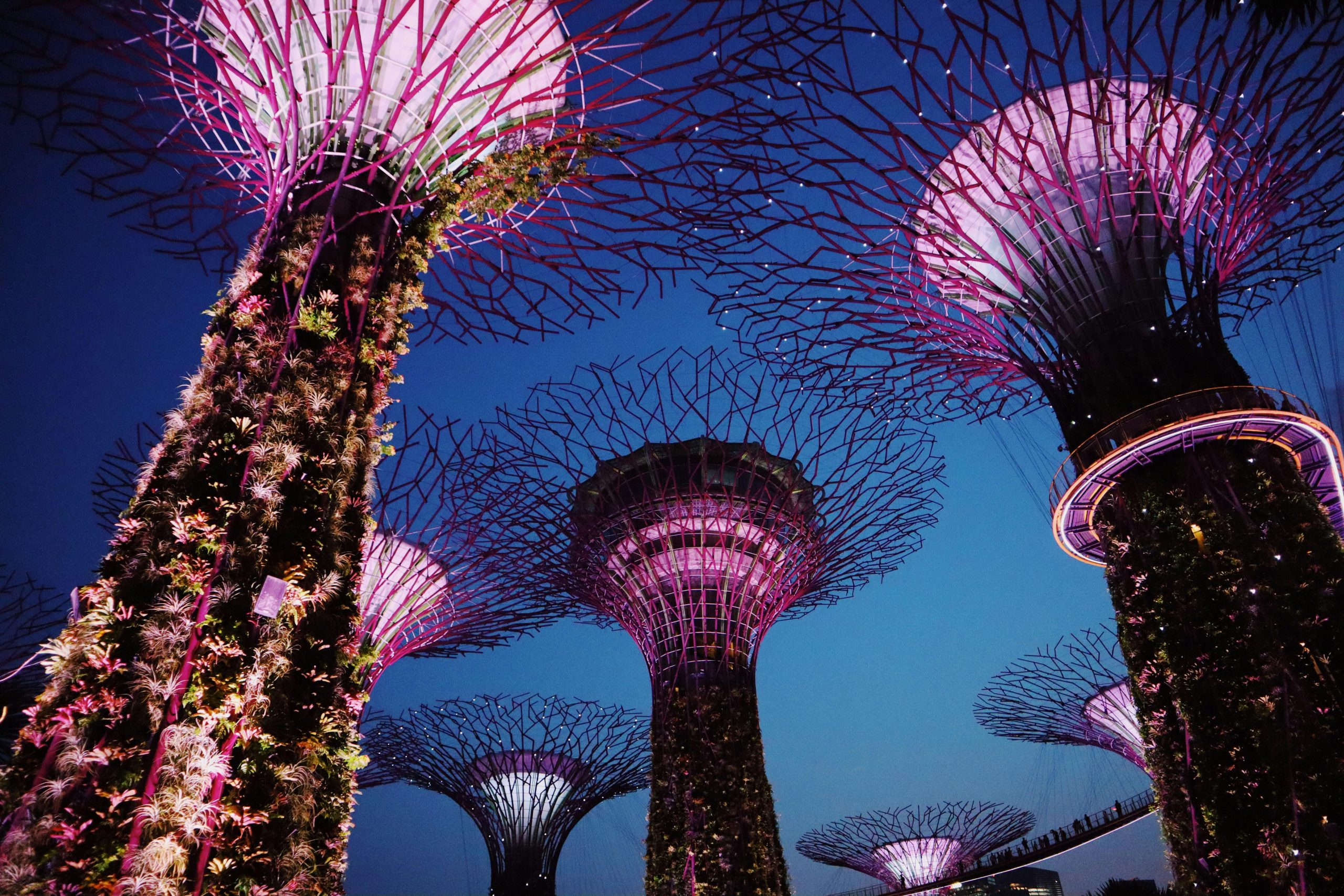 Round The World Flights Singapore