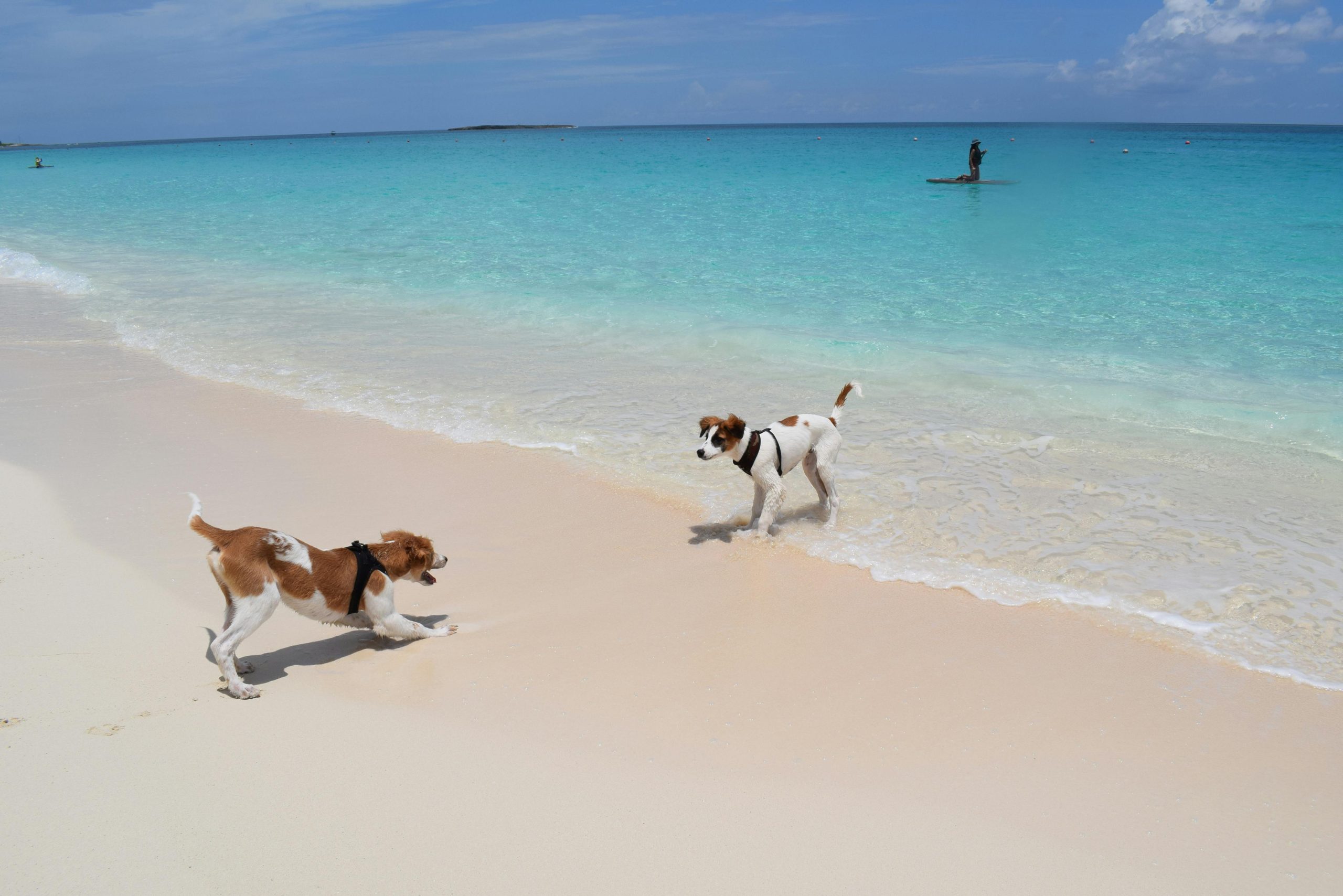 Round The World Flights Cancun Mexico