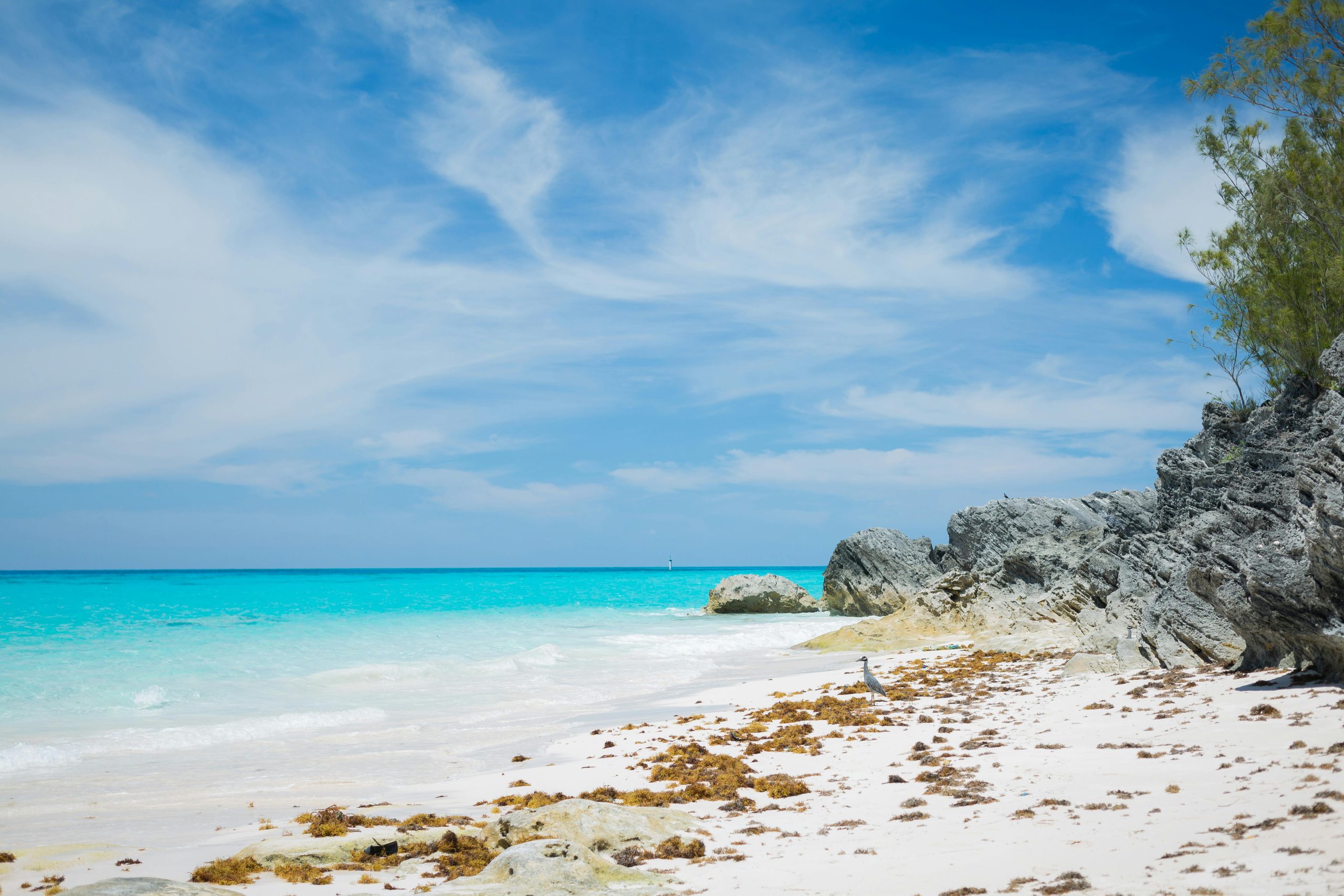 Round The World Flights Bermuda