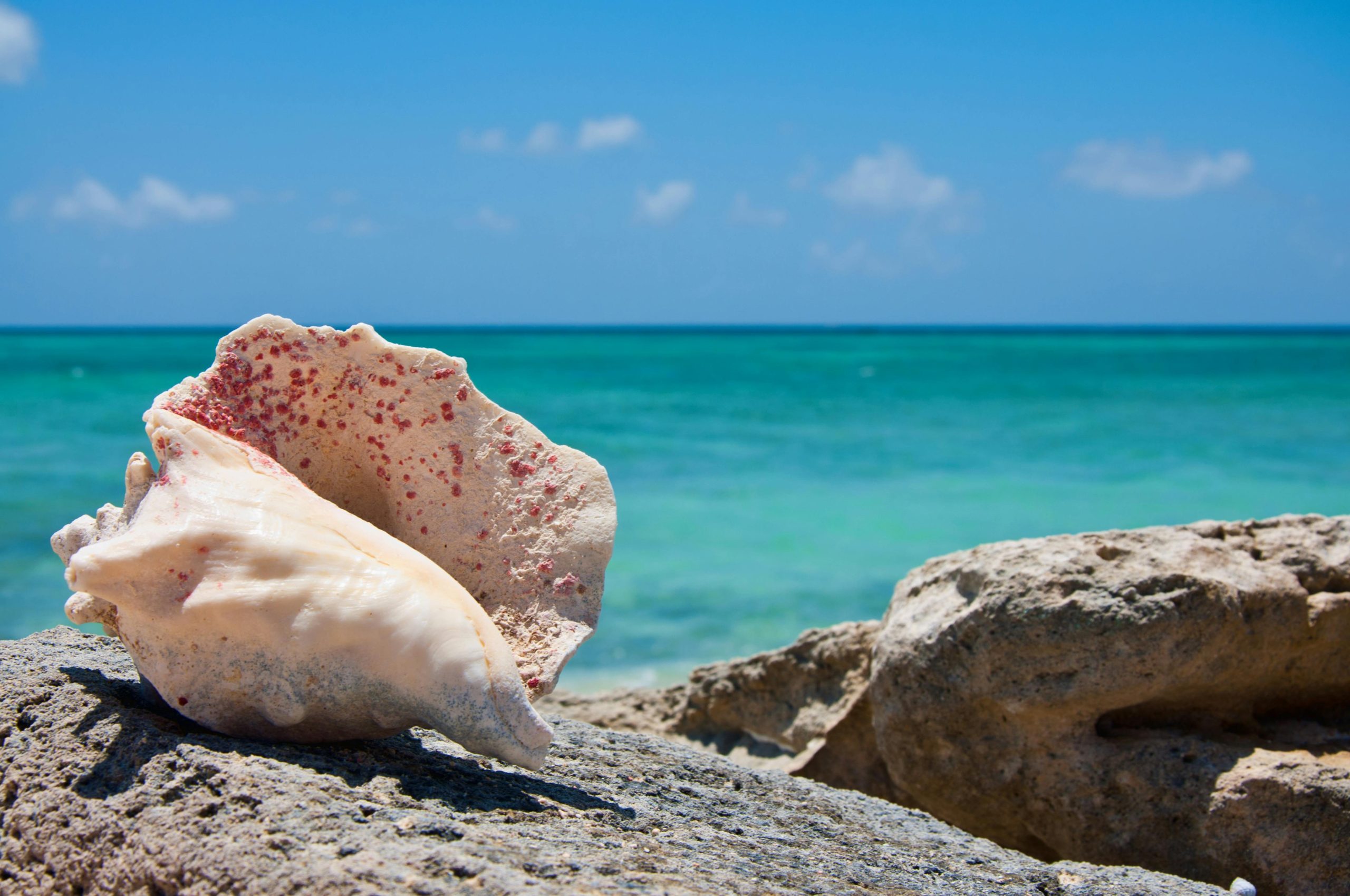 Round The World Flights Providenciales Turks and Caicos Islands
