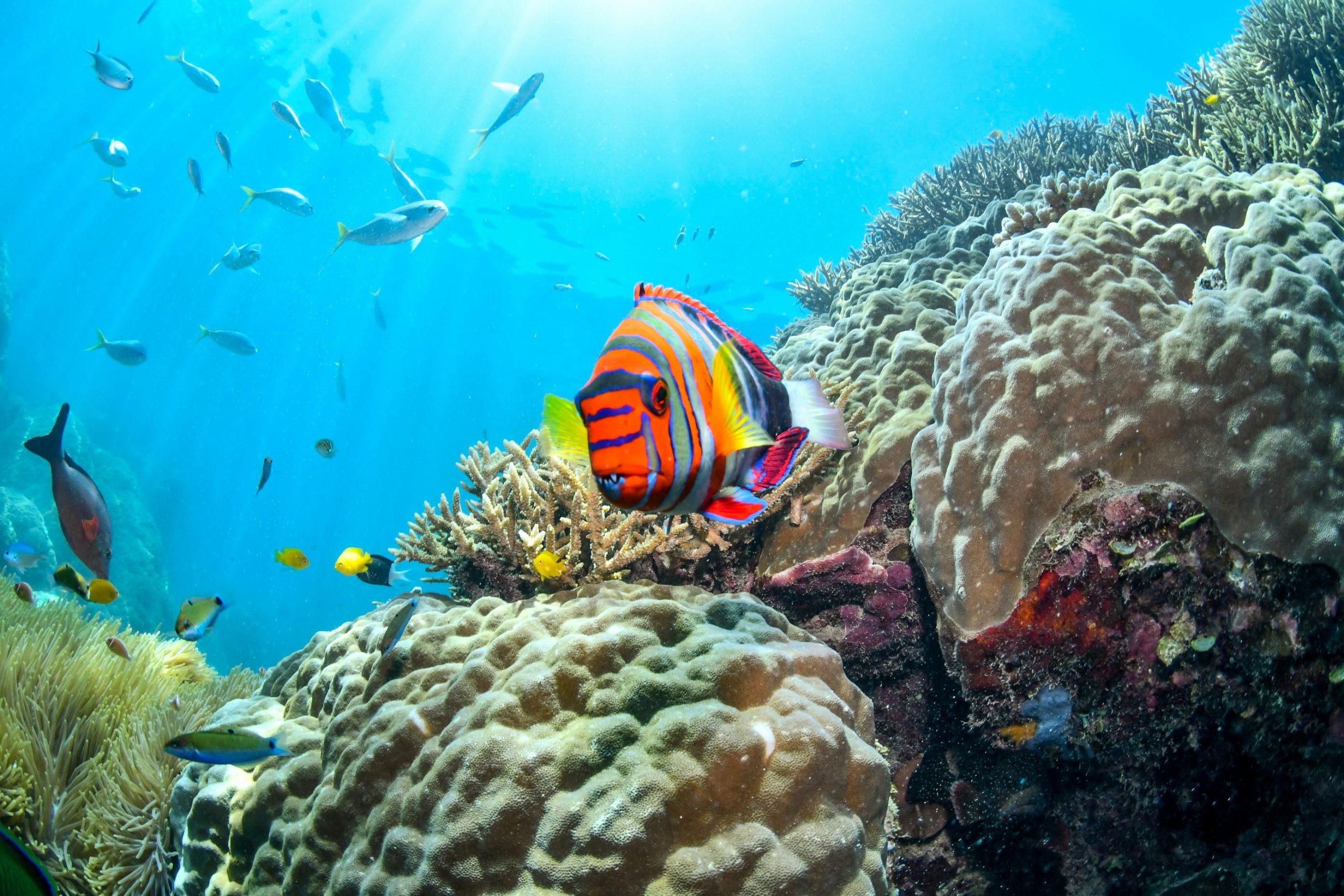 Round The World Flights Cairns Australia Great Barrier Reef